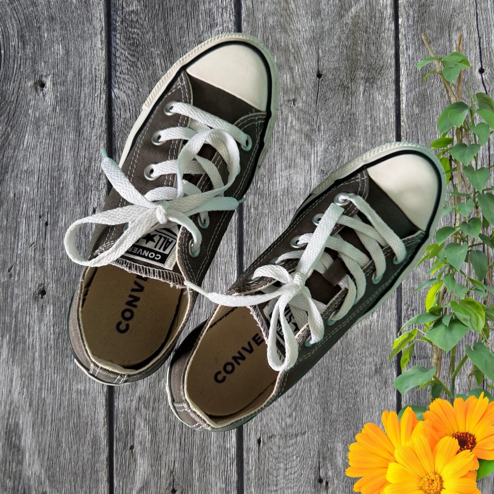 Converse Taupe Canvas Sneakers